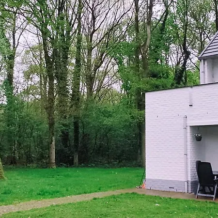 Vakantiebungalow Berk 1 Holiday home